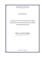 Nghiên cứu các yếu tố ảnh hưởng đến ý định sử dụng dịch vụ mua hàng qua mạng của giới  trẻ tại thành phố nha trang