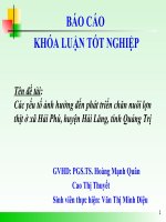 Các yếu tố ảnh hưởng đến phát triển chăn nuôi lợn thịt ở xã hải phú, huyện hải lăng, tỉnh quảng trị