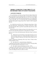 Phân tích các yếu tố môi trường và hoạt động marketing tại công ty may nhà bè