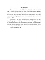 Nghiên cứu sản xuất thử nghiệm nước giải khát lên men lactic từ xoài