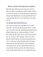 Mùa hè: Cảnh báo viêm màng não mủ ở người lớn pps