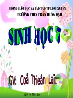 giáo án bồi dưỡng sinh học lớp 7 thủy tức