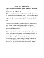 Các lưu ý đối với mảng xanh nội thất pps