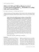 Báo cáo khoa học: 