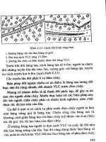 Quản lý cháy rừng ở Việt Nam part 8 pot