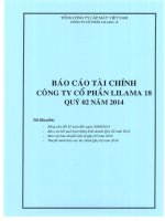 tổng công ty xây lắp việt nam công ty cổ phần lilama 18 báo cáo tài chính quý 2 năm 2014