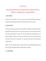 Thực Hành Châm Cứu Trị Liệu: TỬ CUNG SA pps