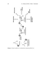 Organocatalysis Episode 3 potx