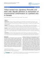 Báo cáo khoa học: 