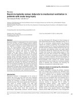 Báo cáo khoa học: 