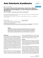 Báo cáo khoa học: 