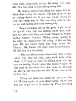 Bác sĩ cây trồng - Rau ăn lá part 3 ppt