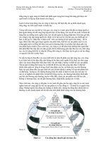 Giá trị thương hiệu 2 ppt