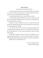 Nghiên cứu sản xuất thử  nghiệm sản phẩm trà diếp cá túi lọc