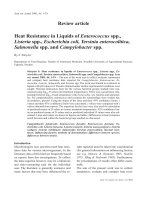 Báo cáo khoa học: 