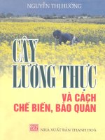 Cây lương thực cách chế biến và bảo quản part 1 docx