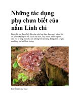 Những tác dụng phụ chưa biết của nấm Linh chi pdf