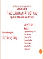 thảo luận địa chất việt nam địa tầng vùng đông bắc việt nam.