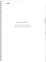 công ty cổ phần sông đà 6 báo cáo tài chính hợp nhất cho năm tài chính kết thúc 31 tháng 12 năm 2013