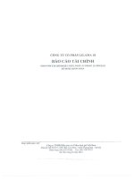 công ty cổ phần lilama 18 báo cáo tài chính cho năm tài chính kết thúc ngày 31 tháng 12 năm 2013 đã được kiểm toán