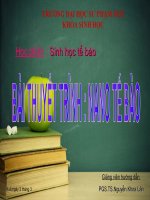 BÀI THUYẾT TRÌNH NANO TẾ BÀO