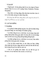 Người dân làm giàu không khó - Nghề nuôi lợn siêu nạc part 2 pps