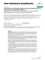 Báo cáo khoa học: 