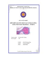 Diễn biến nguyên nhân sạt lở đoạn sông cong ở bán đảo thanh đa - tphcm