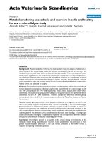 Báo cáo khoa học: 