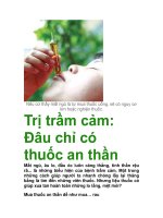 Trị trầm cảm: Đâu chỉ có thuốc an thần ppsx