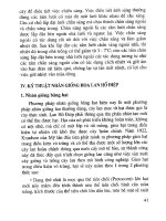 Lan Hồ Điệp - Kỹ thuật chọn tạo, nhân giống và nuôi trồng part 5 pptx