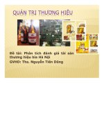 Tiểu luận Phân tích đánh giá tài sản thương hiệu bia Hà Nội