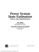 LÝ THUYẾT VÀ THỰC HÀNH VỀ ĐÁNH GIÁ TRẠNG THÁI HỆ THỐNG ĐIỆN (Power System State Estimation Theory and Implementation)