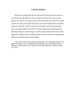 Chiến lược bao gói sản phẩm của công ty cổ phần bánh kẹo kinh đô