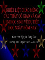 giáo án sinh học lớp 7 tham khảo một số giun tròn khác và đặc điểm chung của ngành giun tròn (2)