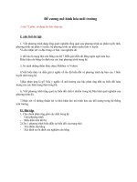 Đề cương mô hình hóa môi trường