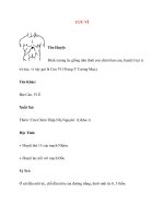 Lý thuyết Kinh mạch và Huyệt đạo: CƯU VĨ ppt