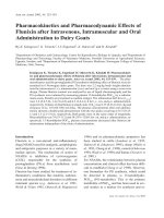 Báo cáo khoa học: 