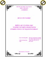 PHÂN lập và SÀNG lọc VI SINH vật BIỂN SINH ENZYM có KHẢ NĂNG cắt MẠCH FUCOIDAN