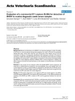 Báo cáo khoa học: 