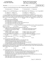 THI HỌC KÌ II NĂM HỌC 2010-2011 Môn: Vật lý - Đề 768 doc