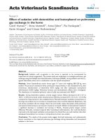 Báo cáo khoa học: 