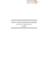 công ty cổ phần tập đoàn vinacontrol báo cáo tài chính hợp nhất quý 3 năm 2012