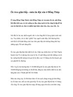 Ốc treo giàn bếp - món ăn đặc sản ở Đồng Tháp ppt