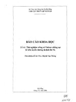 Thử nghiệm trồng cỏ Vetiver chống sạt lở trên tuyến đường du lịch Bà Nà
