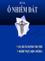 Đề tài: Ô nhiễm đất doc