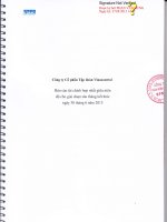 công ty cổ phần tập đoàn vinacontrol  báo cáo tài chính hợp nhất giữa niên độ cho giai đoạn 6 tháng kết thúc ngày 30 tháng 6 năm 2013