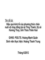 Hiệu quả kinh tế của phương thức chăn nuôi vịt chạy đồng tại xã thủy thanh, thị xã hương thủy, tỉnh thừa thiên huế