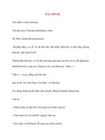 Dược vị Y Học: MẪU ĐƠN BÌ potx