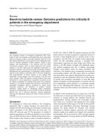 Báo cáo khoa học: 